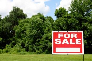 green undeveloped land with for sale sign