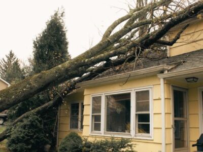 tree fallen on yellow house causes property damage and liability